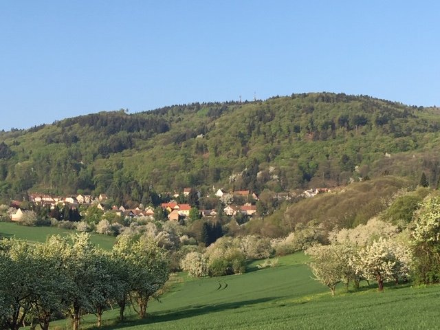 https://www.donnersbergiade.de/index.php?rex_media_type=rex_mediapool_maximized&rex_media_file=dannenfels_img_3952.jpg&buster=1678893802